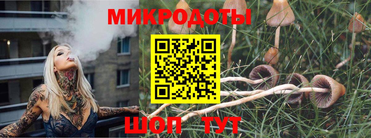 Псилоцибиновые грибы прущие грибы Армавир